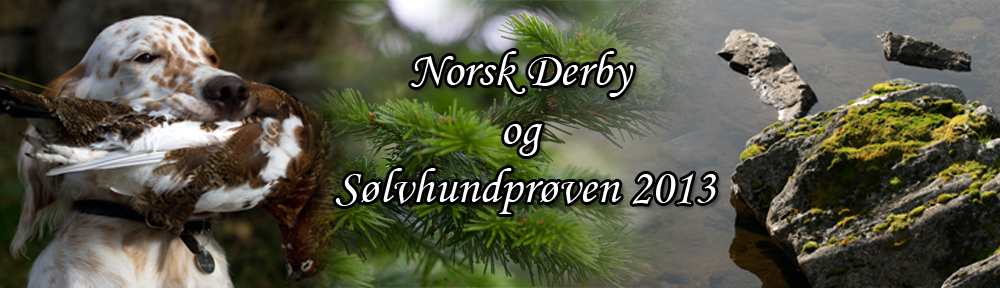 Sølvhundprøven og Norsk Derby 2013